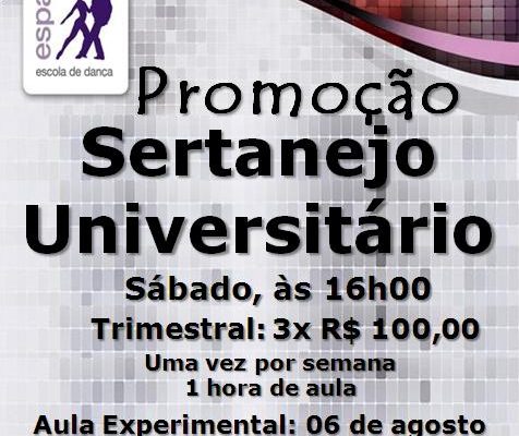 Sertanejo Universitário – sáb. 16h – Iniciante